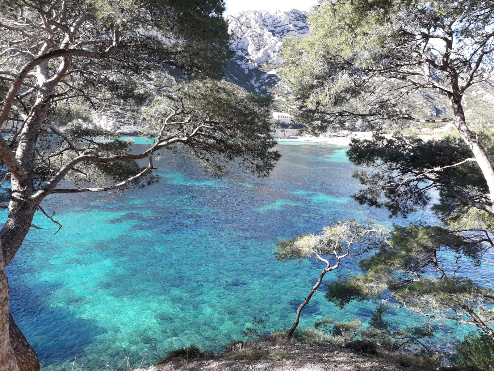 IMG-20190305-WA0004